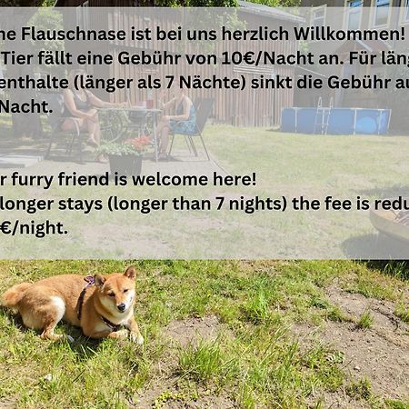 Gemütliche Wohnung für 2 mit Pool und Terrasse - H1 Sebnitz Exterior foto