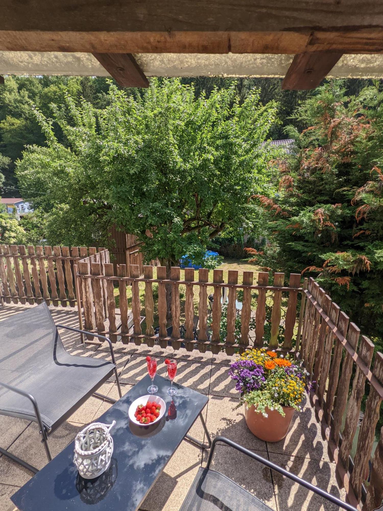 Gemütliche Wohnung für 2 mit Pool und Terrasse - H1 Sebnitz Exterior foto