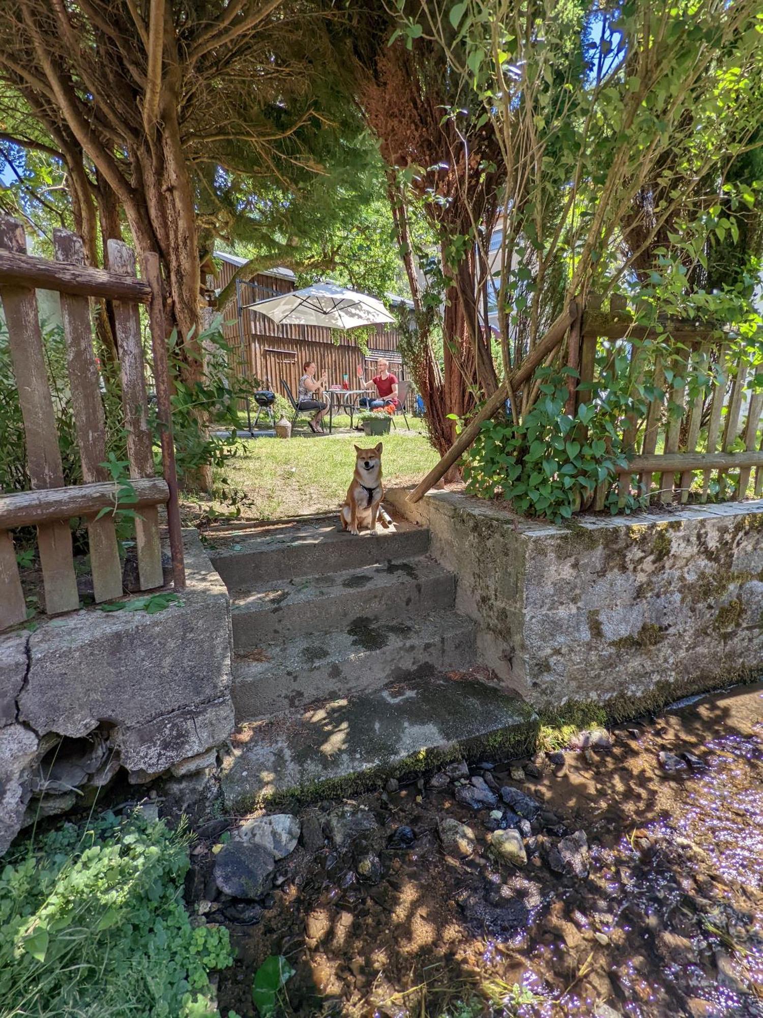 Gemütliche Wohnung für 2 mit Pool und Terrasse - H1 Sebnitz Exterior foto